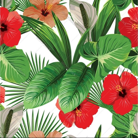 ALWAYS ACCEPTING REASONABLE OFFERS - Picture 9 of 9